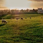 Rural Places to Visit in England