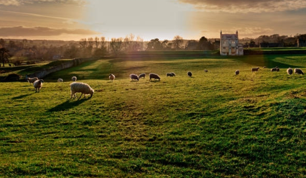 Rural Places to Visit in England
